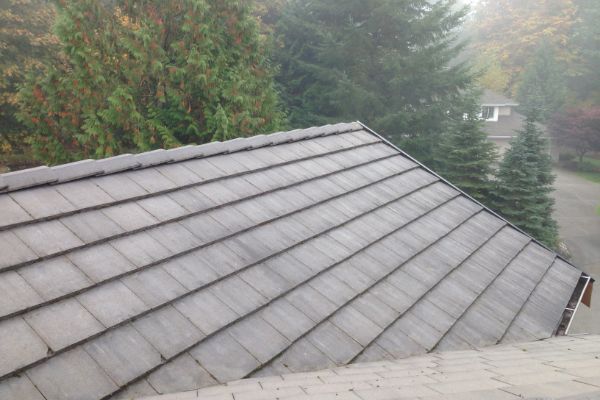 Product B - Roof Cleaning