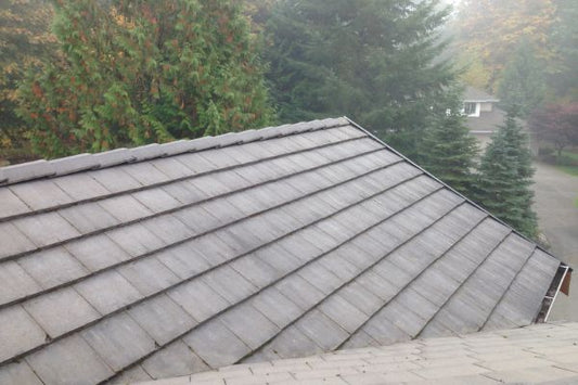 Product B - Roof Cleaning