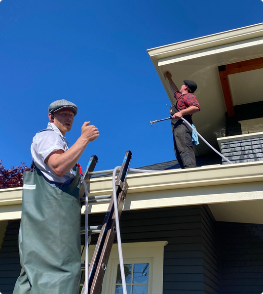 Product D - Roof Cleaning