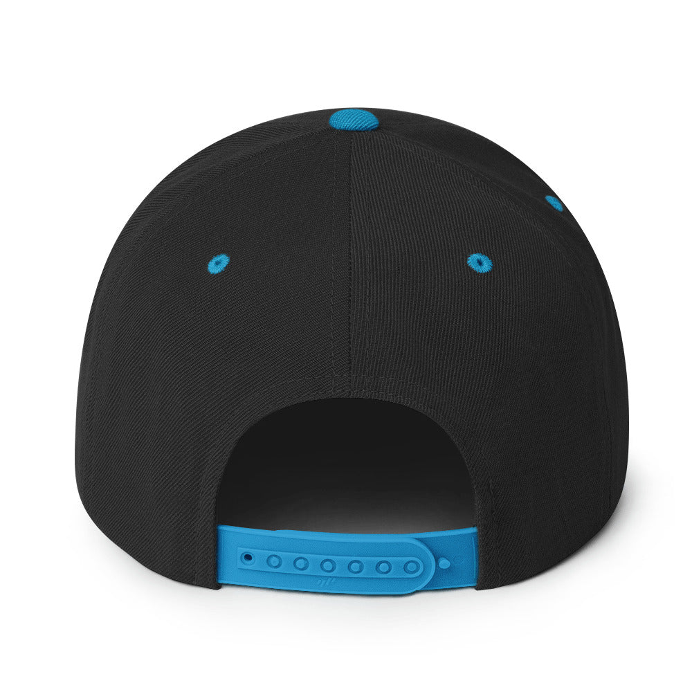 DAPrDAN Classic Flat Bill Cap (Black/Blue)