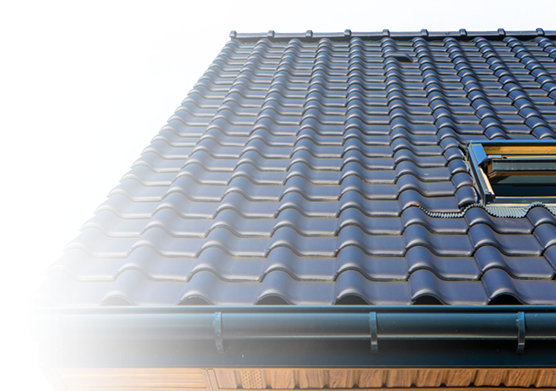 Product D - Roof Cleaning